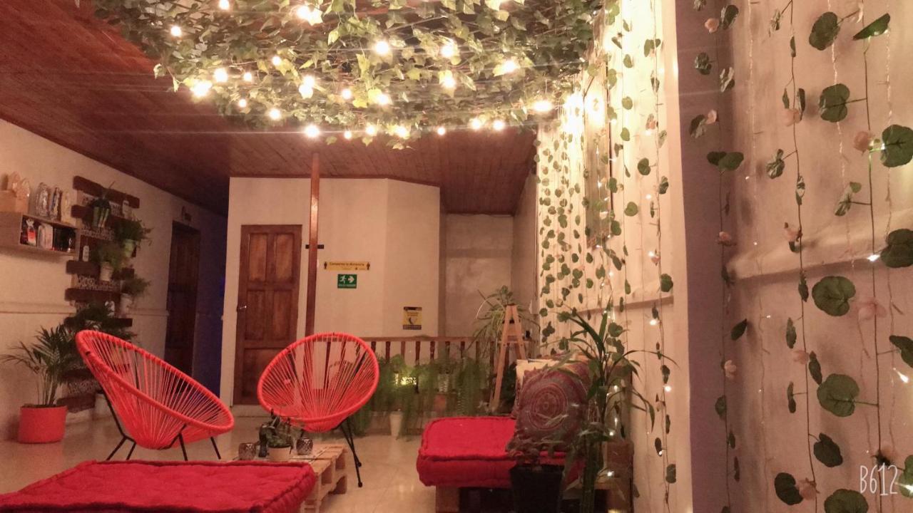 Hospedaje Casa Rosa Jardín Exterior photo